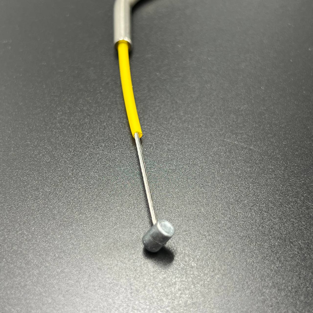 IMAGE 2023-08-07 10 28 16