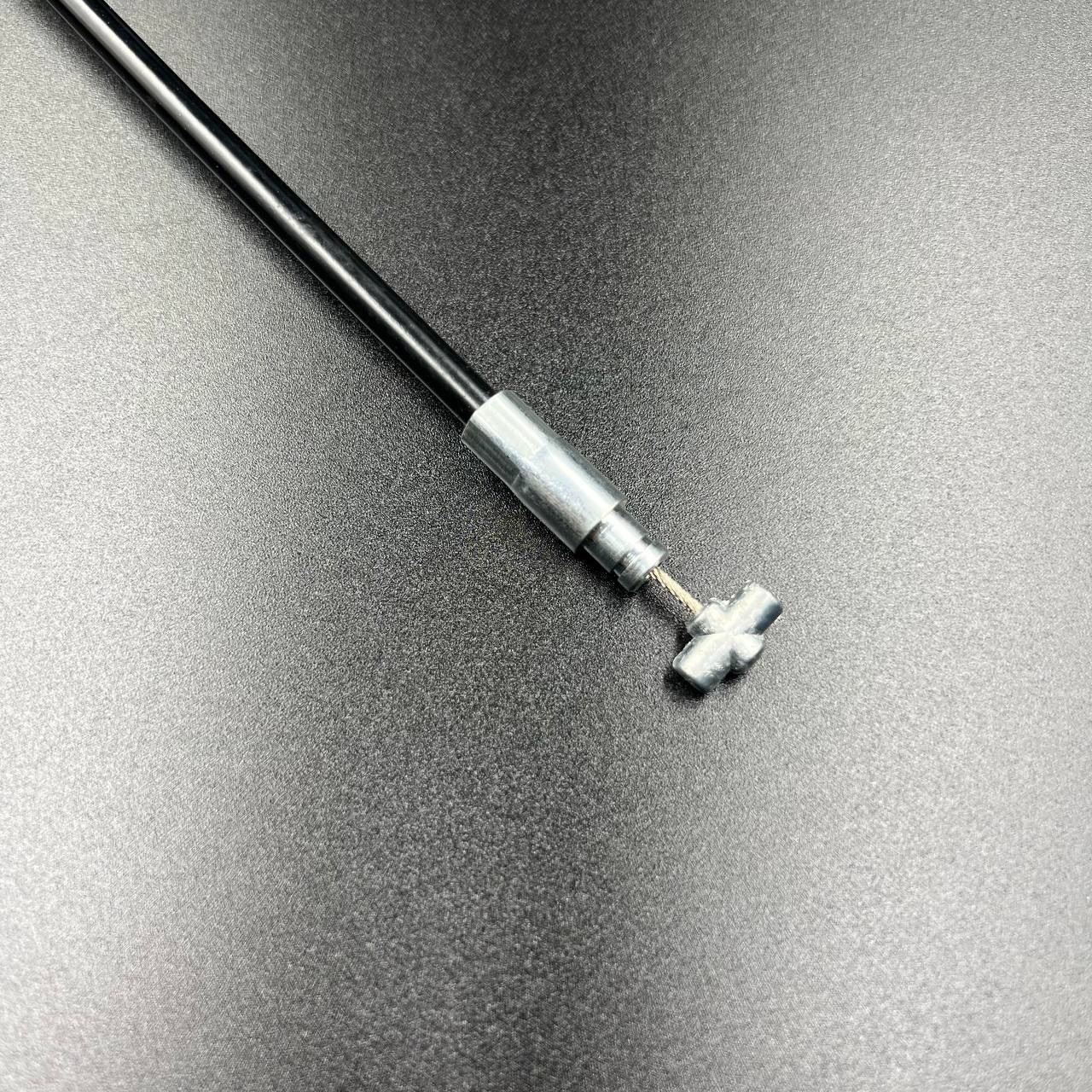 15964668-1348-4065-95F4-E231101A0D0B