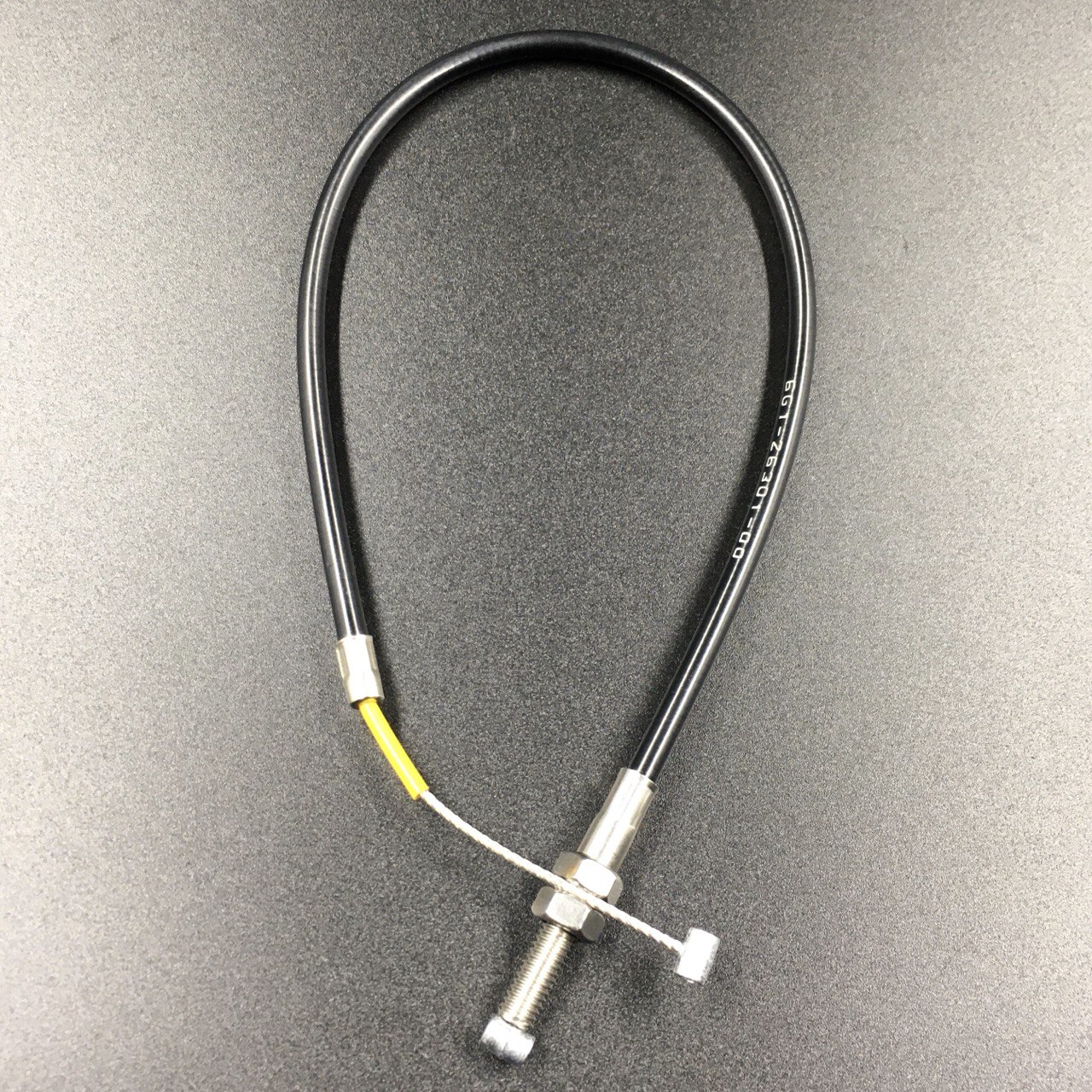 photo5413422564686016587