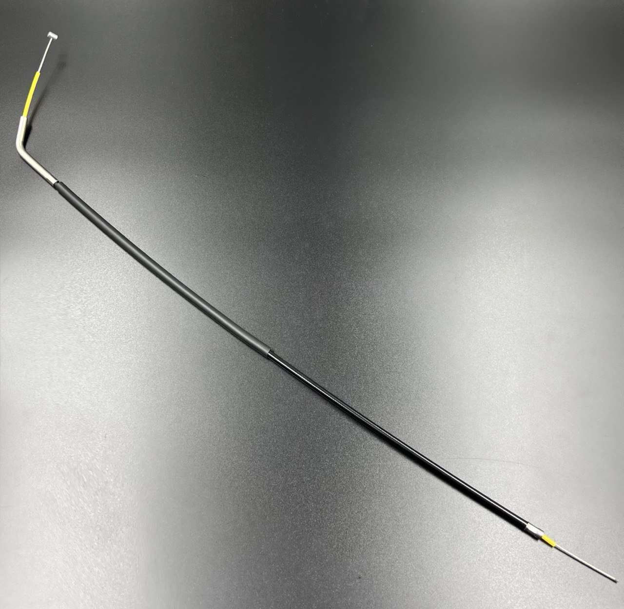 IMAGE 2023-08-07 10 26 59