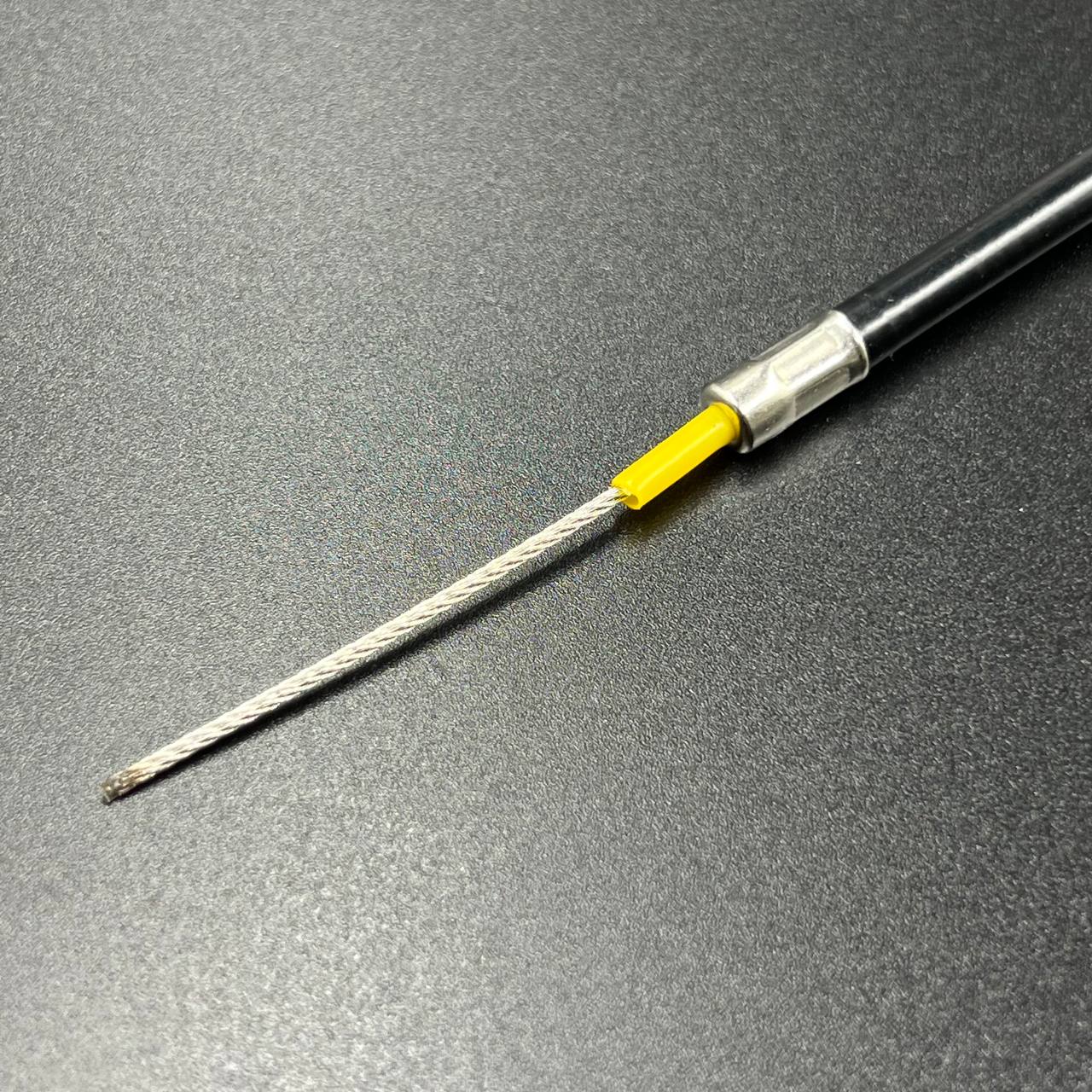 IMAGE 2023-08-07 10 30 18