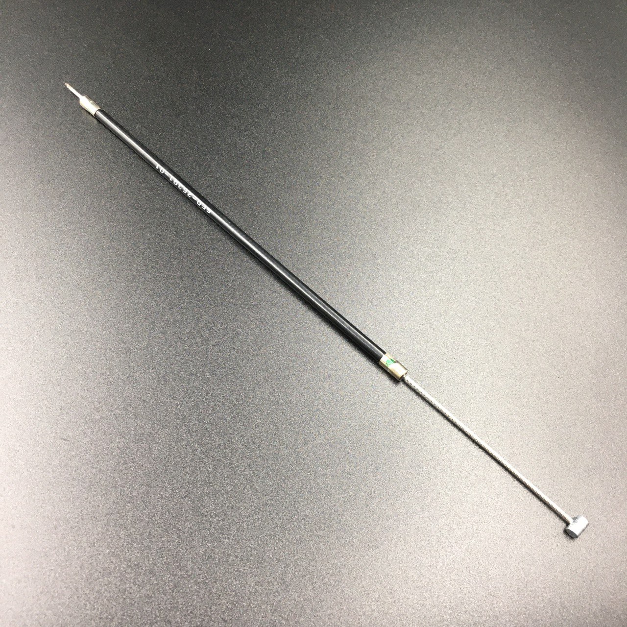 photo5460672440507149819