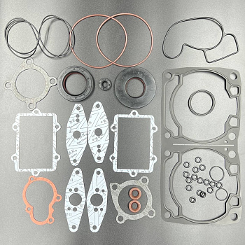 Ремкомплект двигателя Arctic Cat 800 (KINETIX)