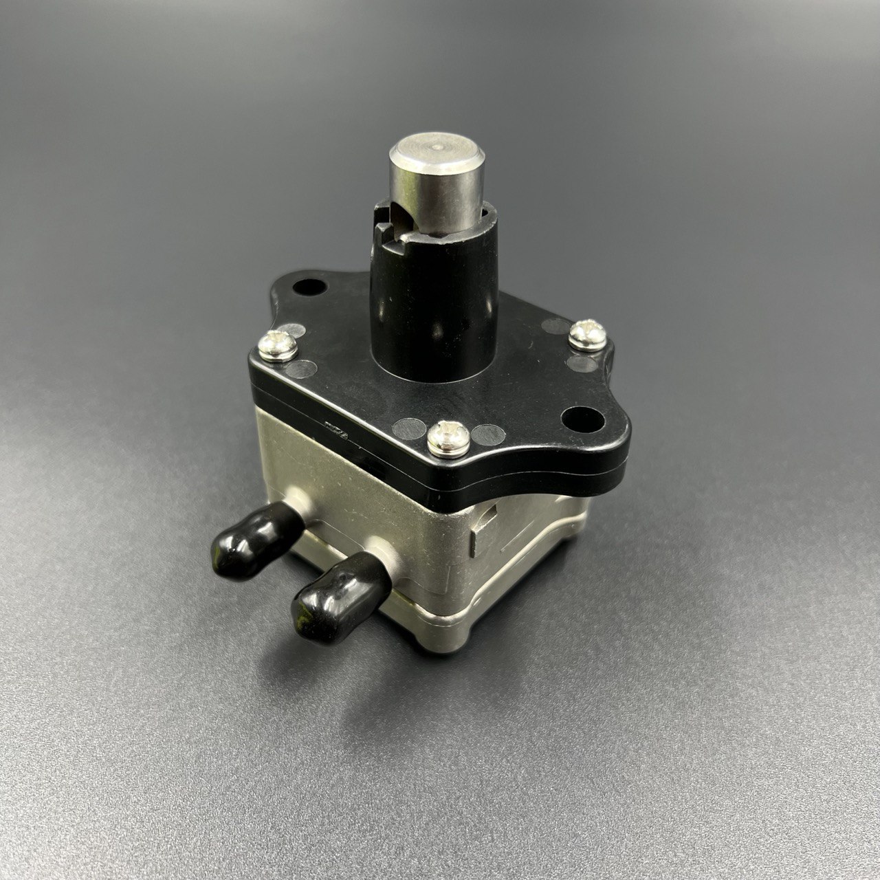 photo_2022-06-24_16-08-38