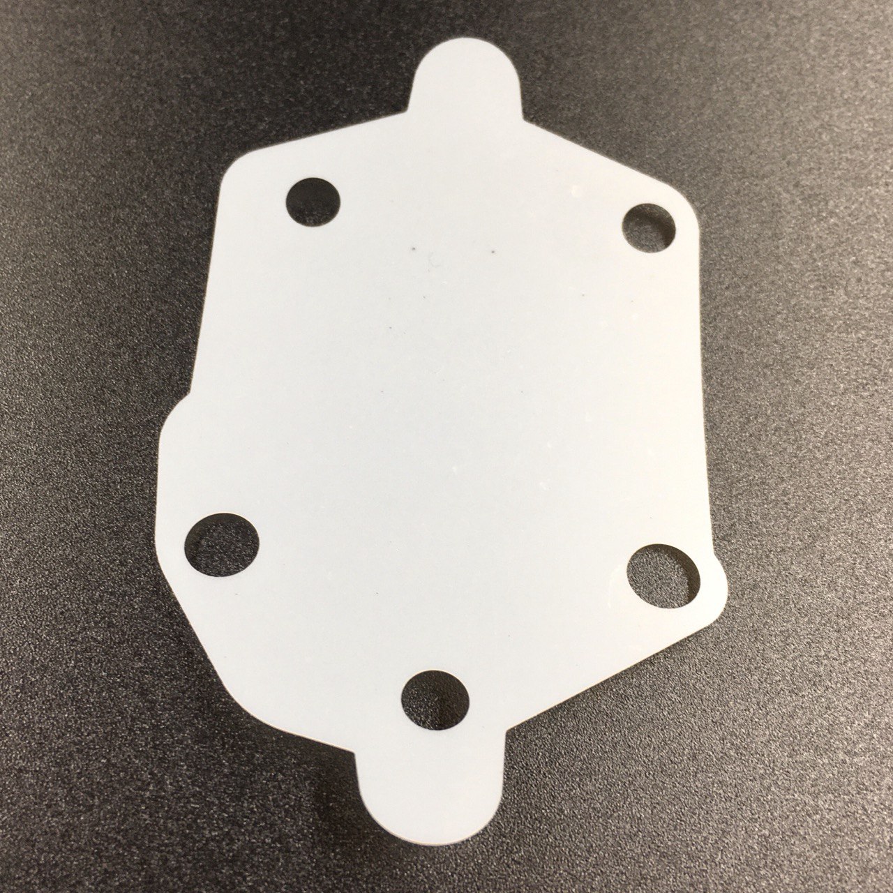 photo5246943357345836735