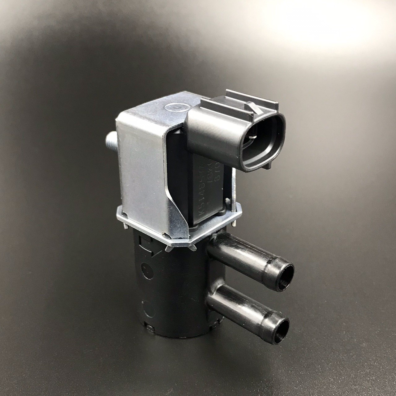 photo5319159139324243463