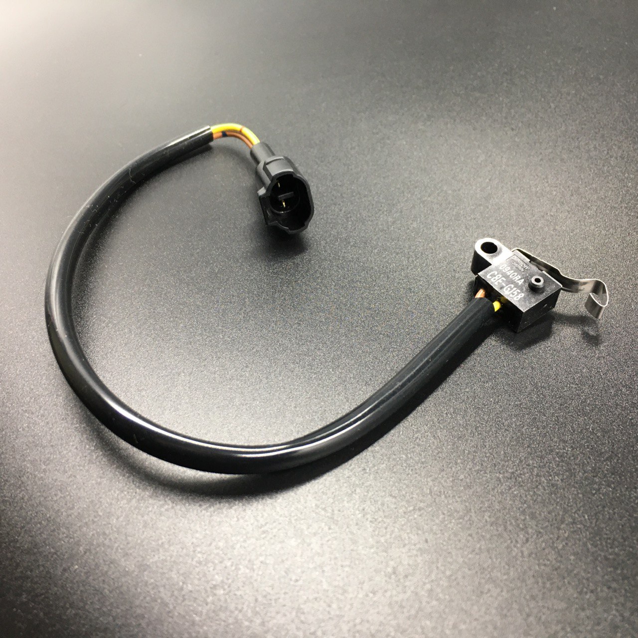 photo5206660025852997358