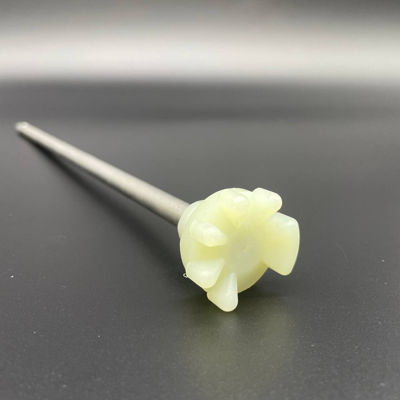 photo5292251972373688726