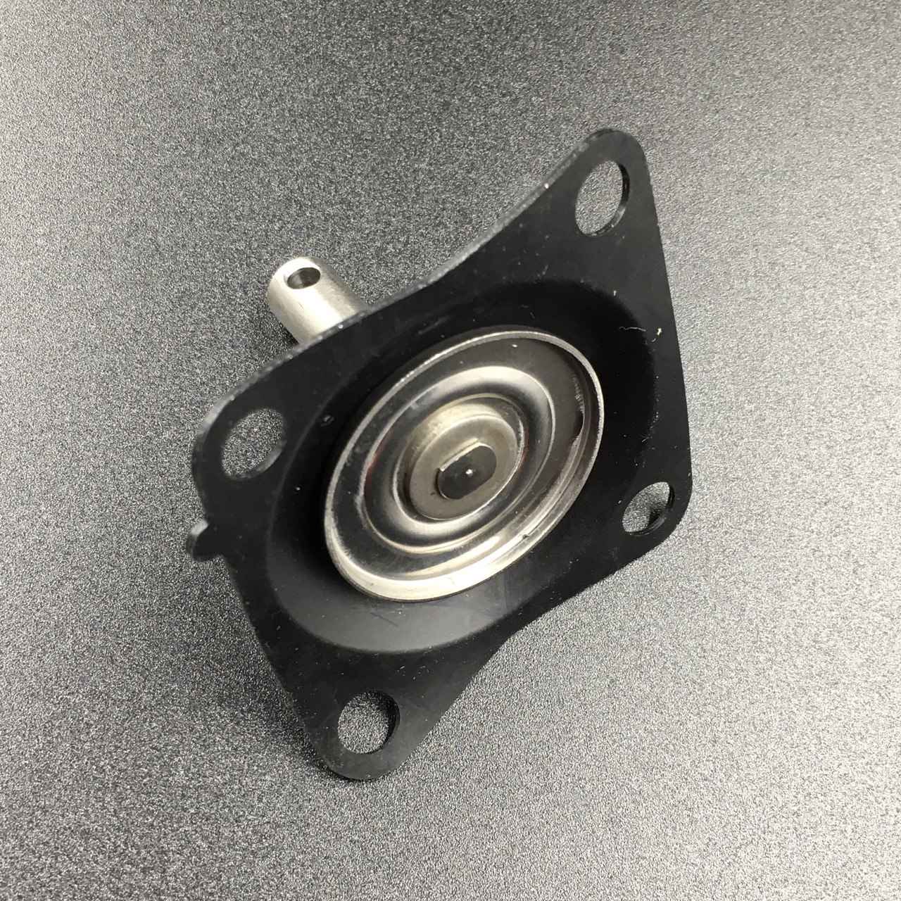 photo5449372484630588918