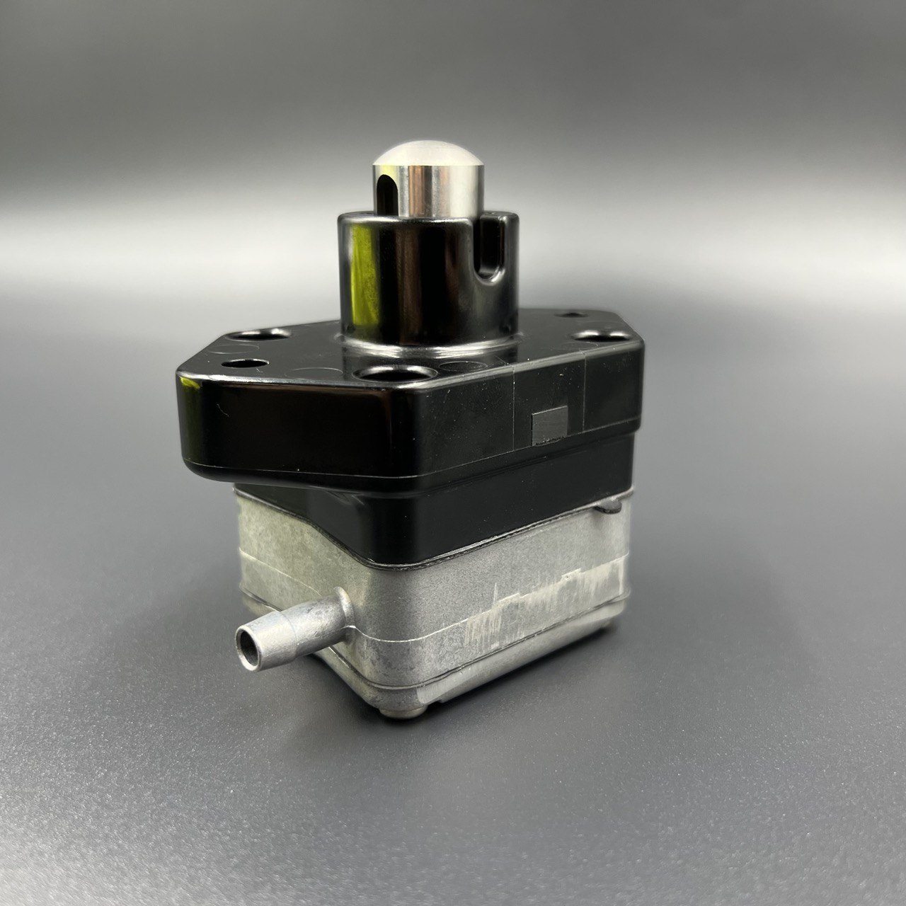 photo_2022-06-24_17-21-09