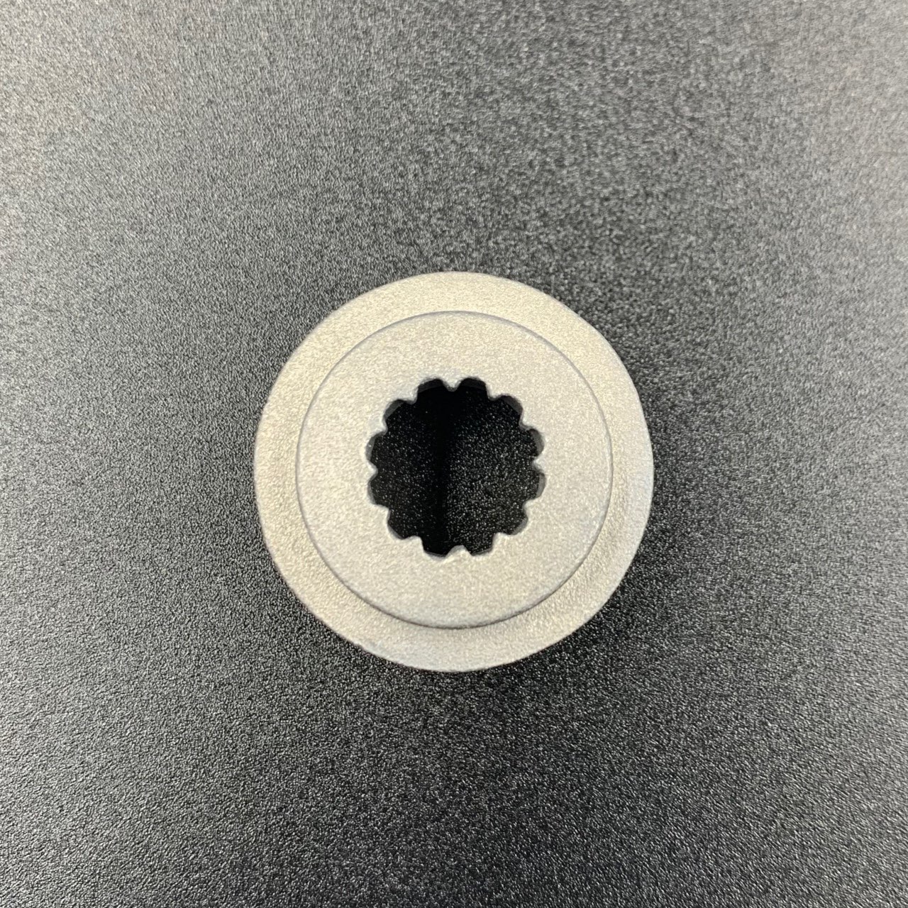 photo5422493754658500199