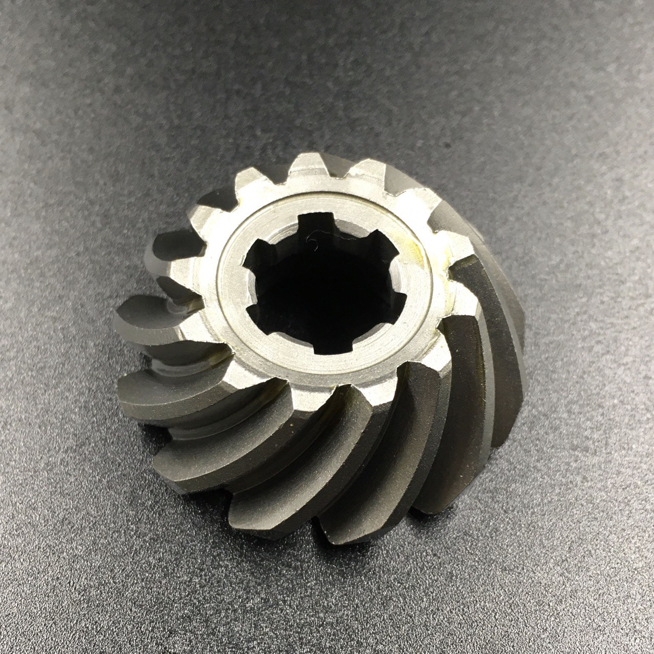 photo5325757411681742280