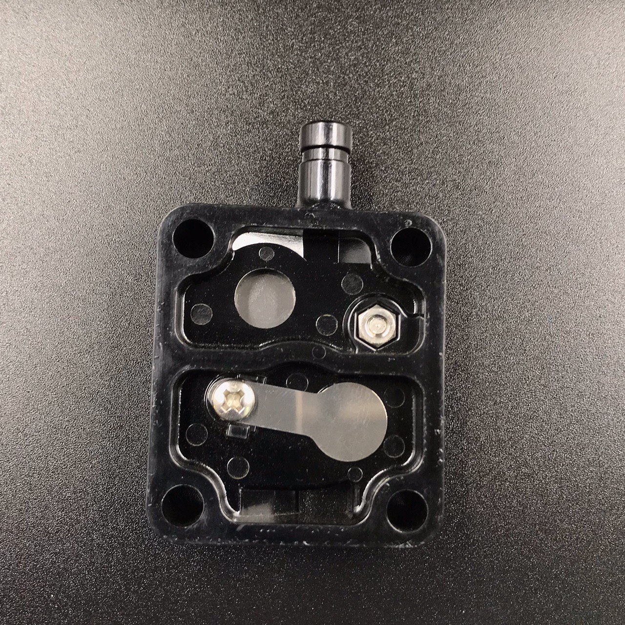 photo5305596899618827700