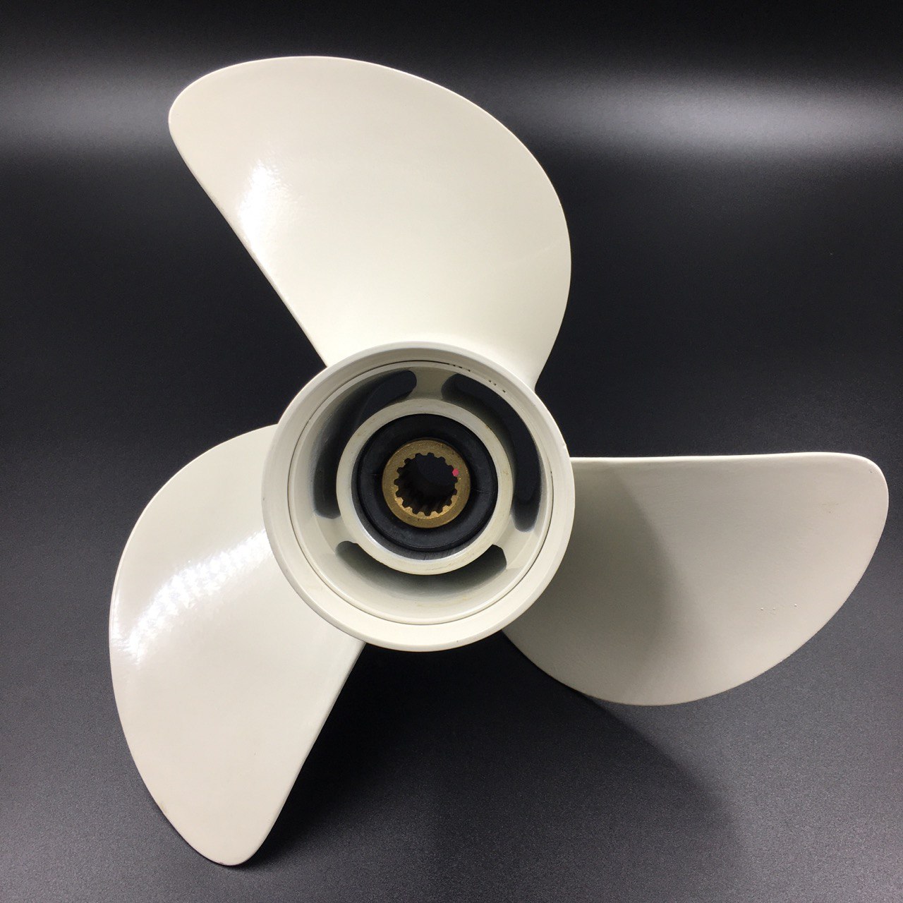 photo5222096958653575264