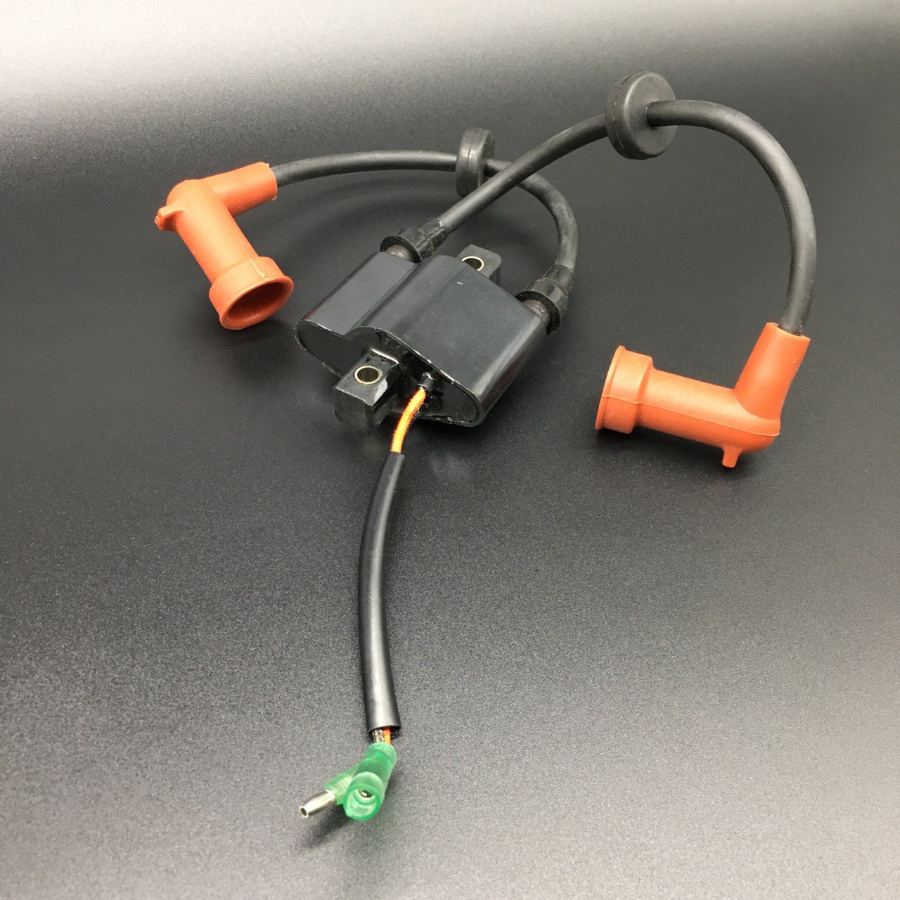 photo5226691916530298670