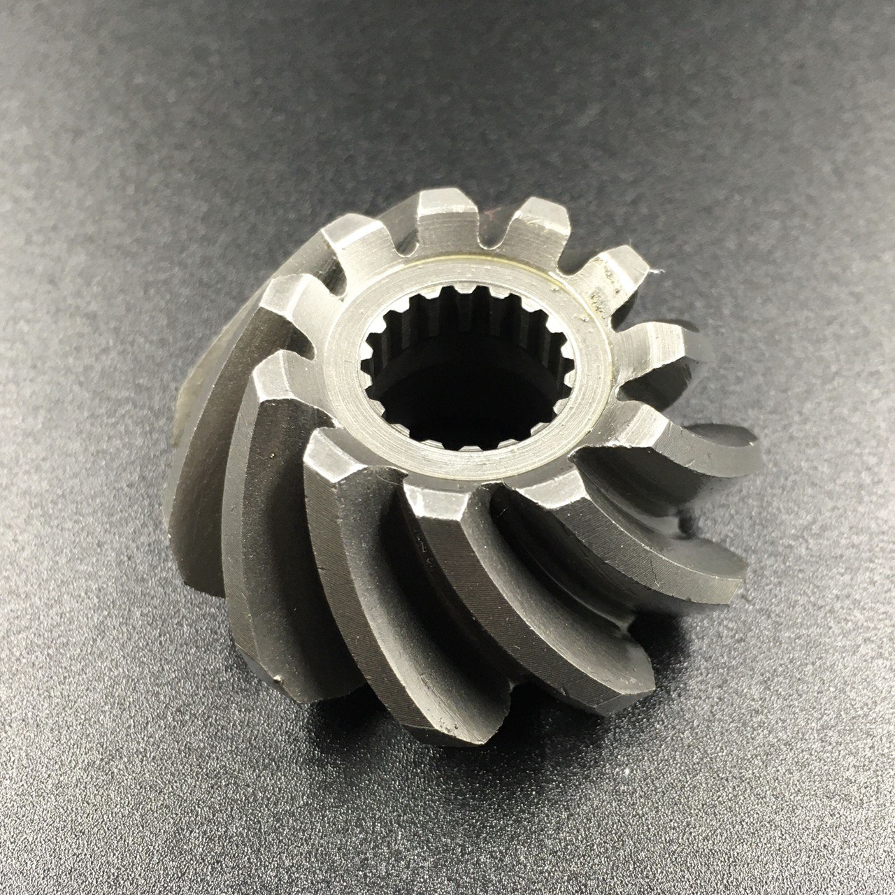 photo5325757411681742274