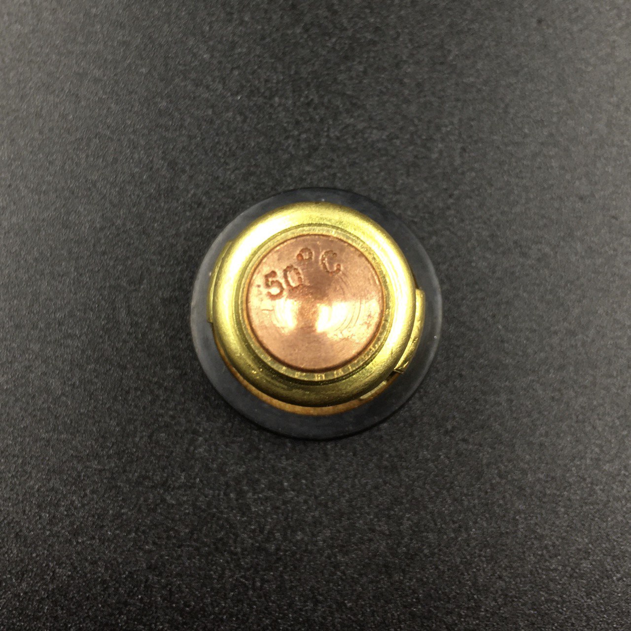 photo5364176671533543349