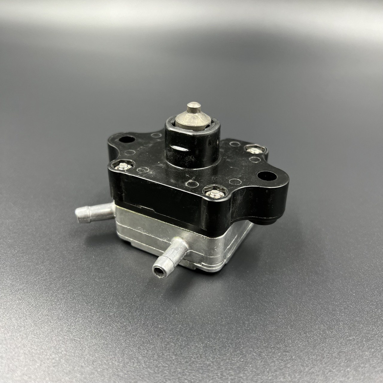 photo_2022-06-24_17-06-33