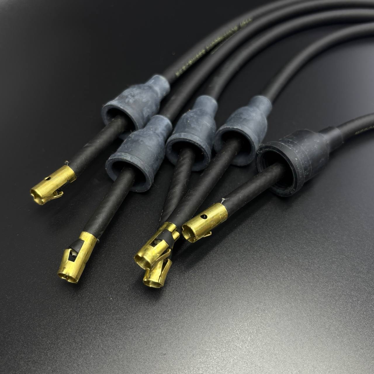 8307E011-BE4E-48CA-832A-78B00B822521