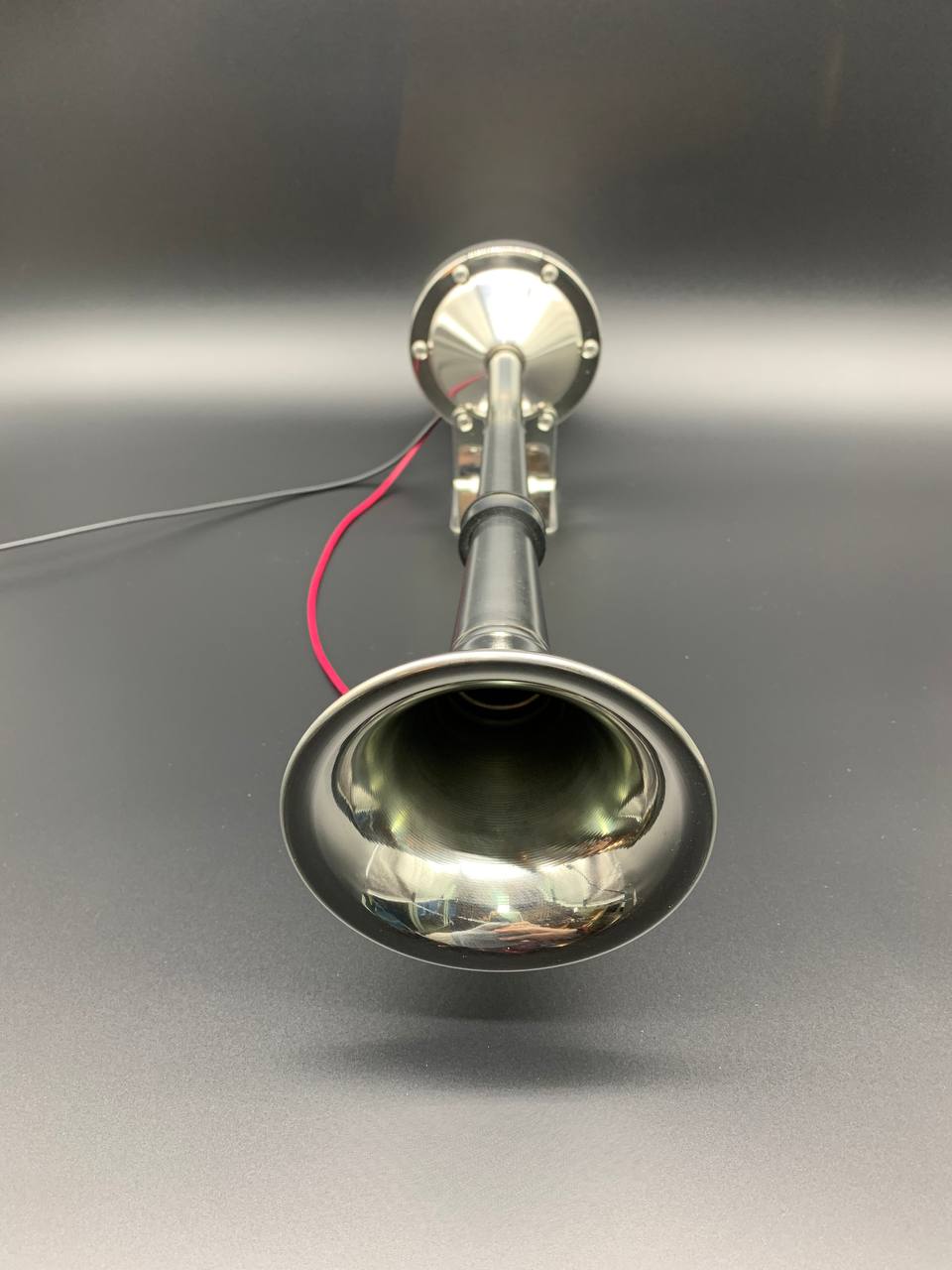 photo5271541013007151246