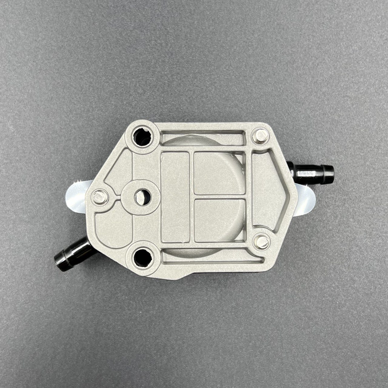 photo_2022-06-24_15-47-22