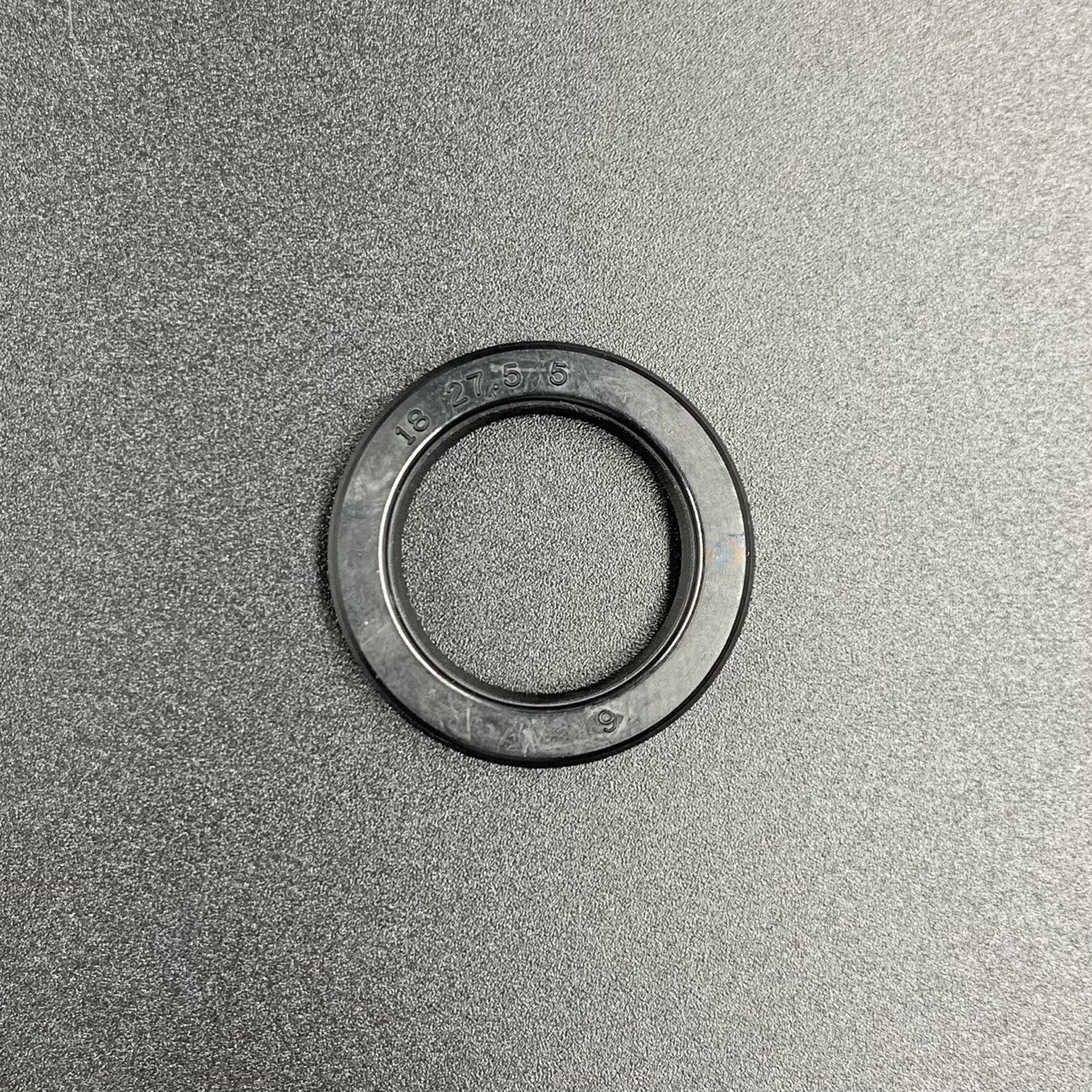 photo5190754628084543905