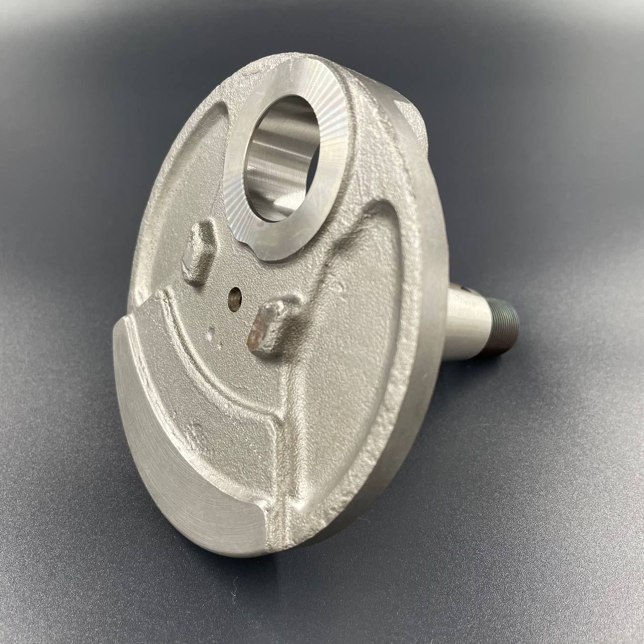 photo_5291800854778750608_y