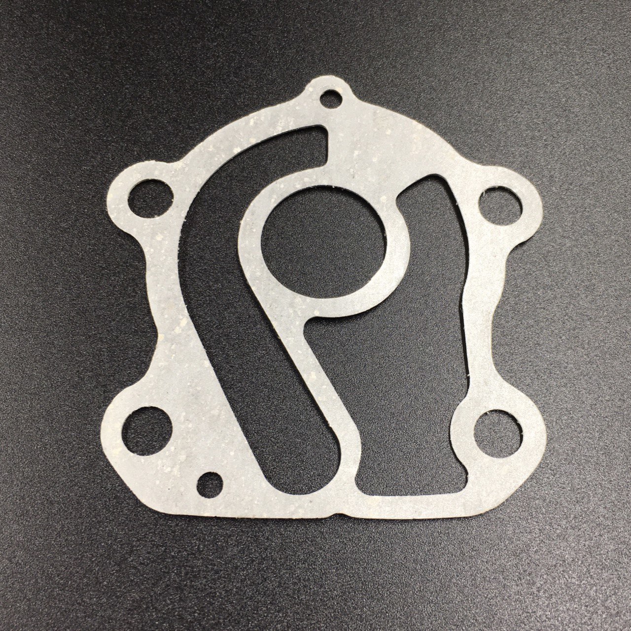 photo5319254594972396946