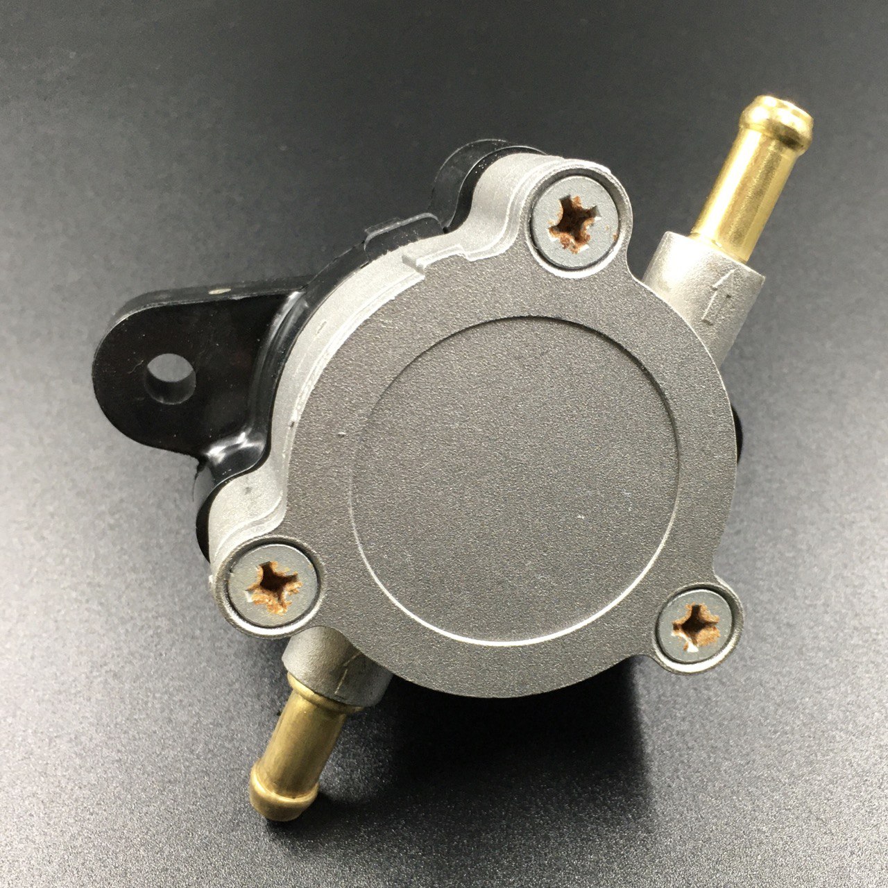 photo5325757411681742311