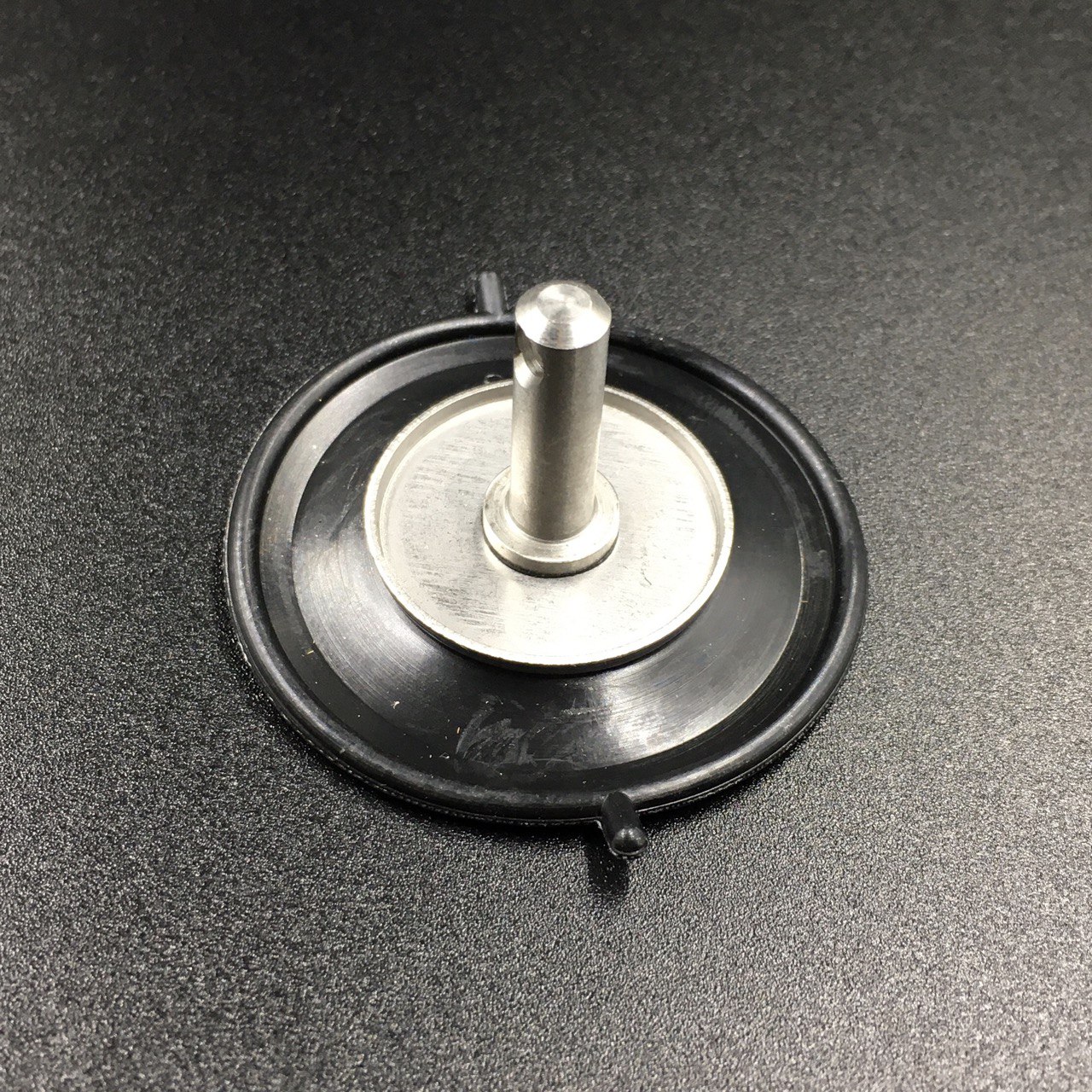 photo5447120684816903973