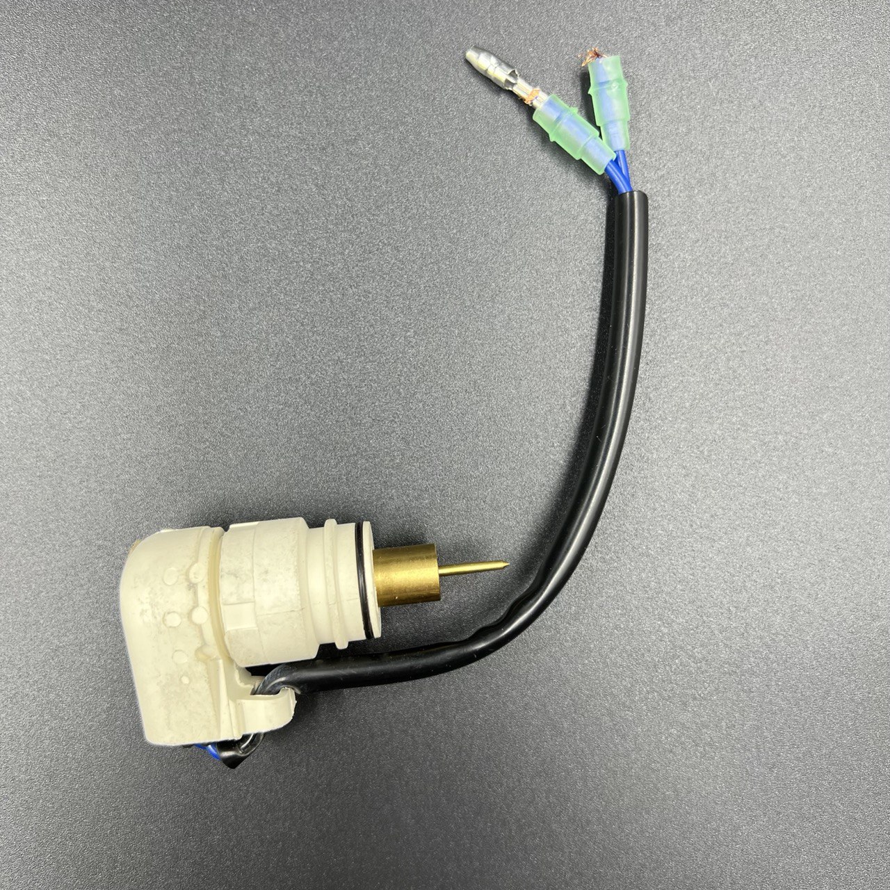 photo_2022-06-24_17-19-15