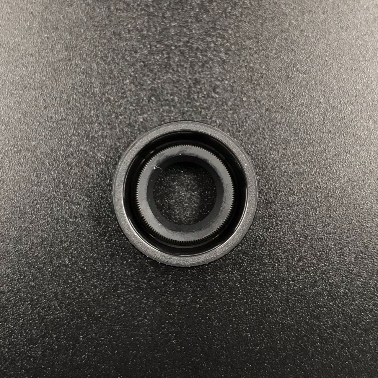 photo5307517879576538798