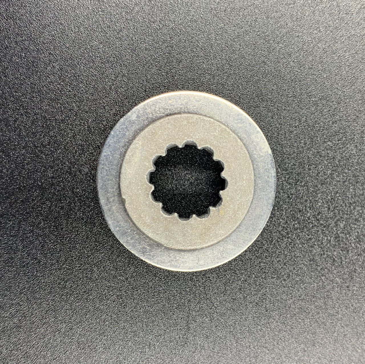 photo5422493754658500203