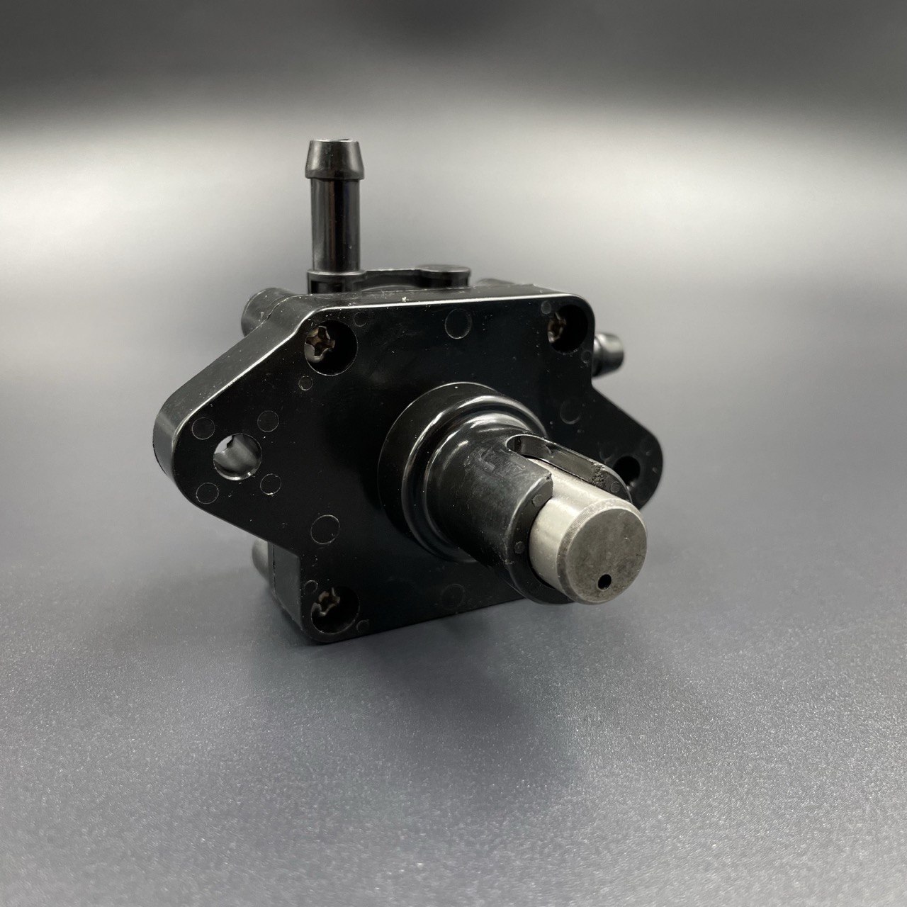 photo_2022-05-04_17-10-26