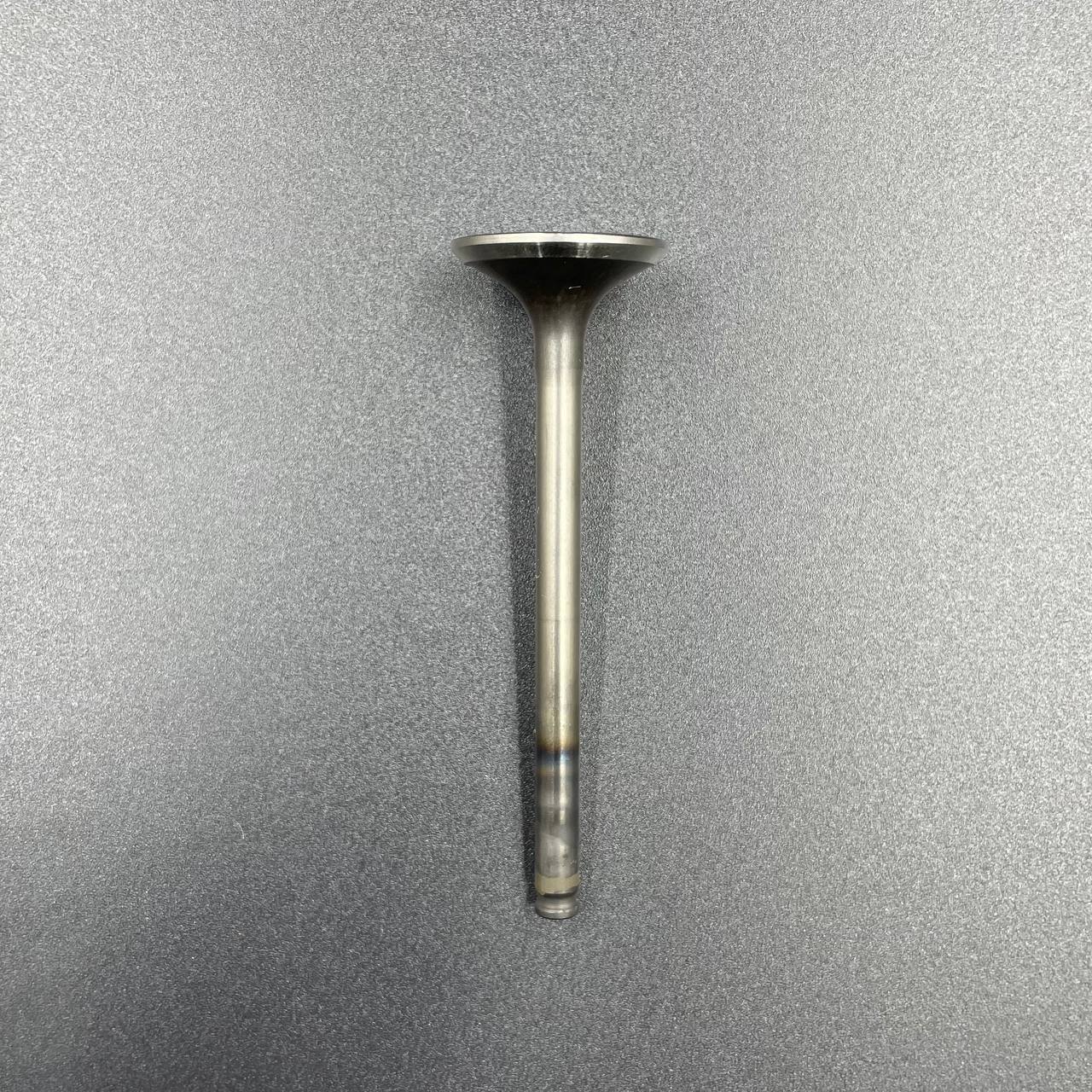 photo_2022-04-13_17-45-32