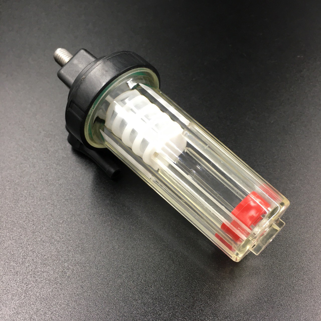 photo5366273869704441608