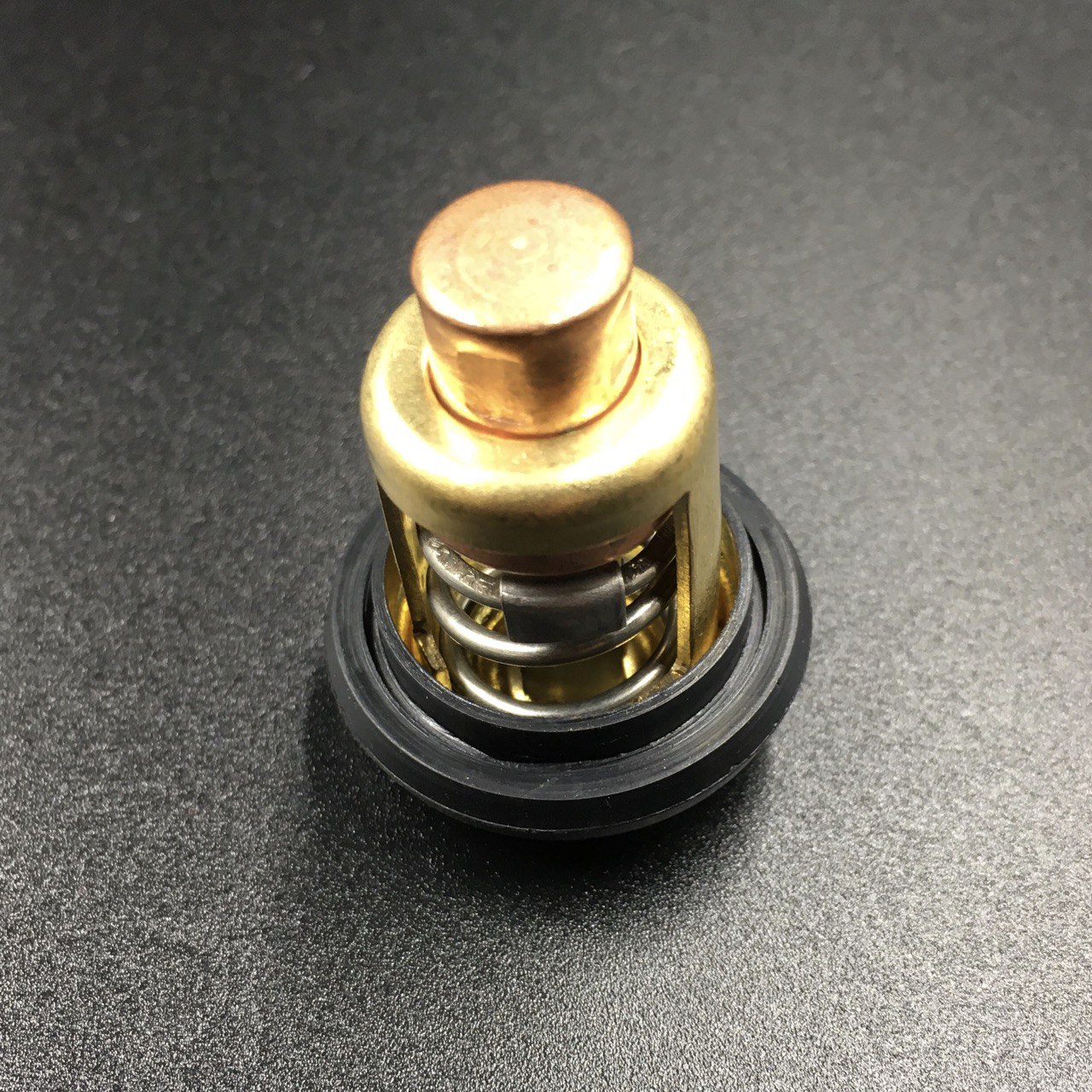 photo5449372484630588933