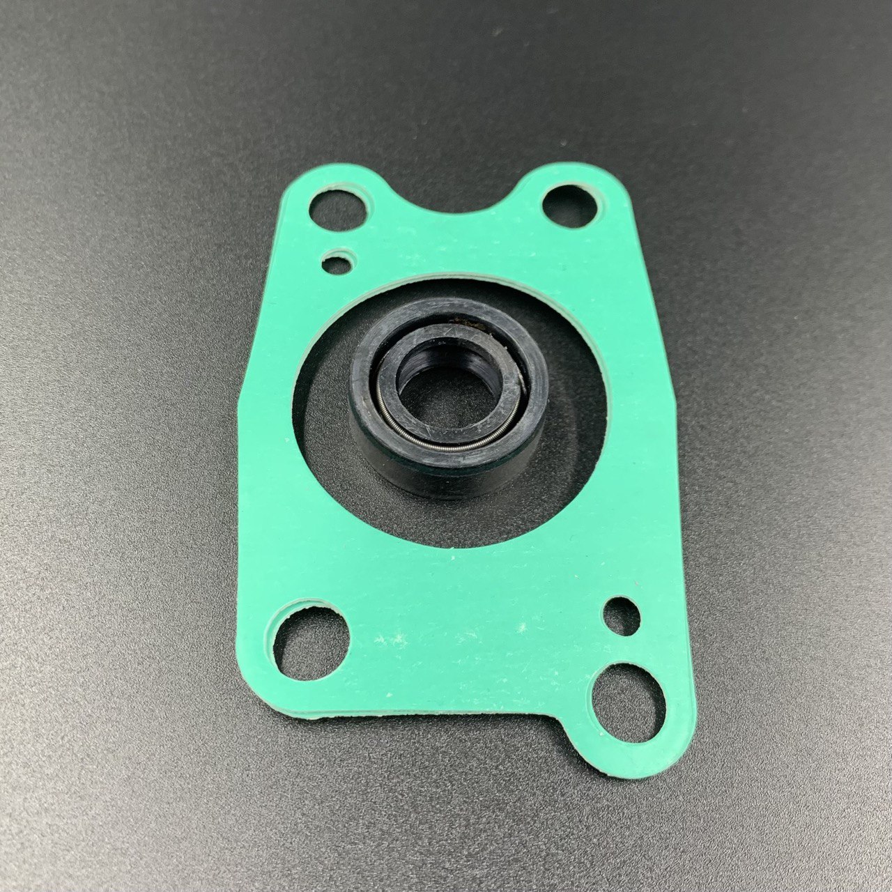 photo5415663060145778930