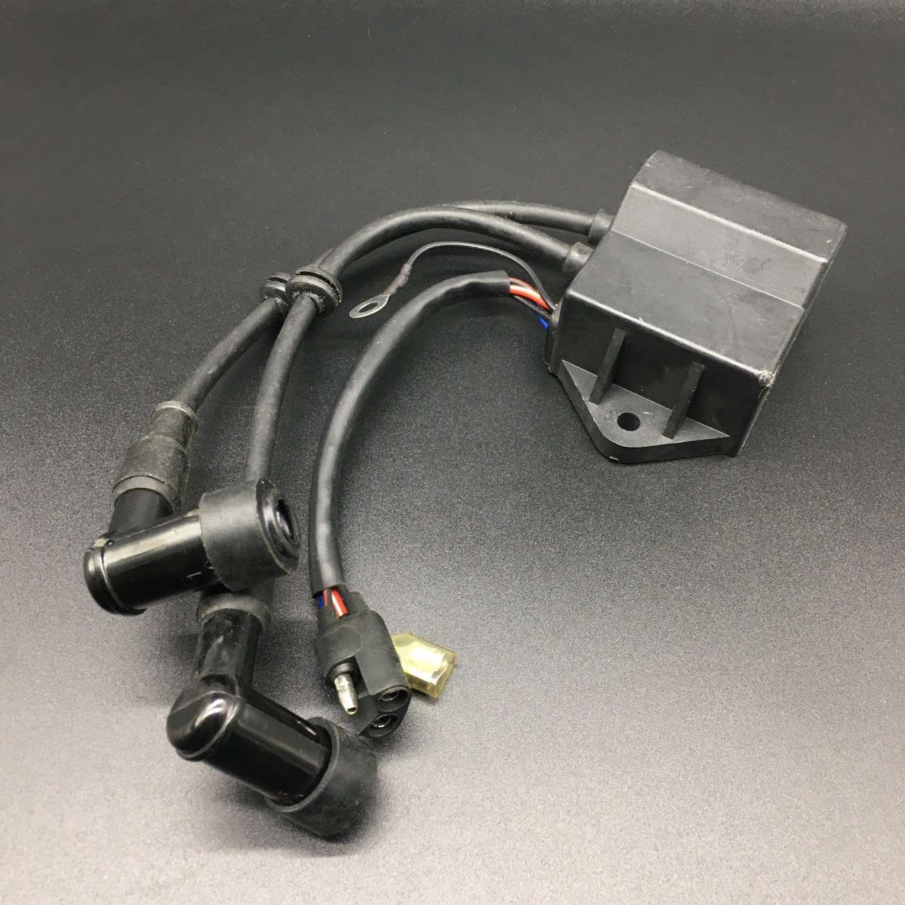 photo5244760912664048005