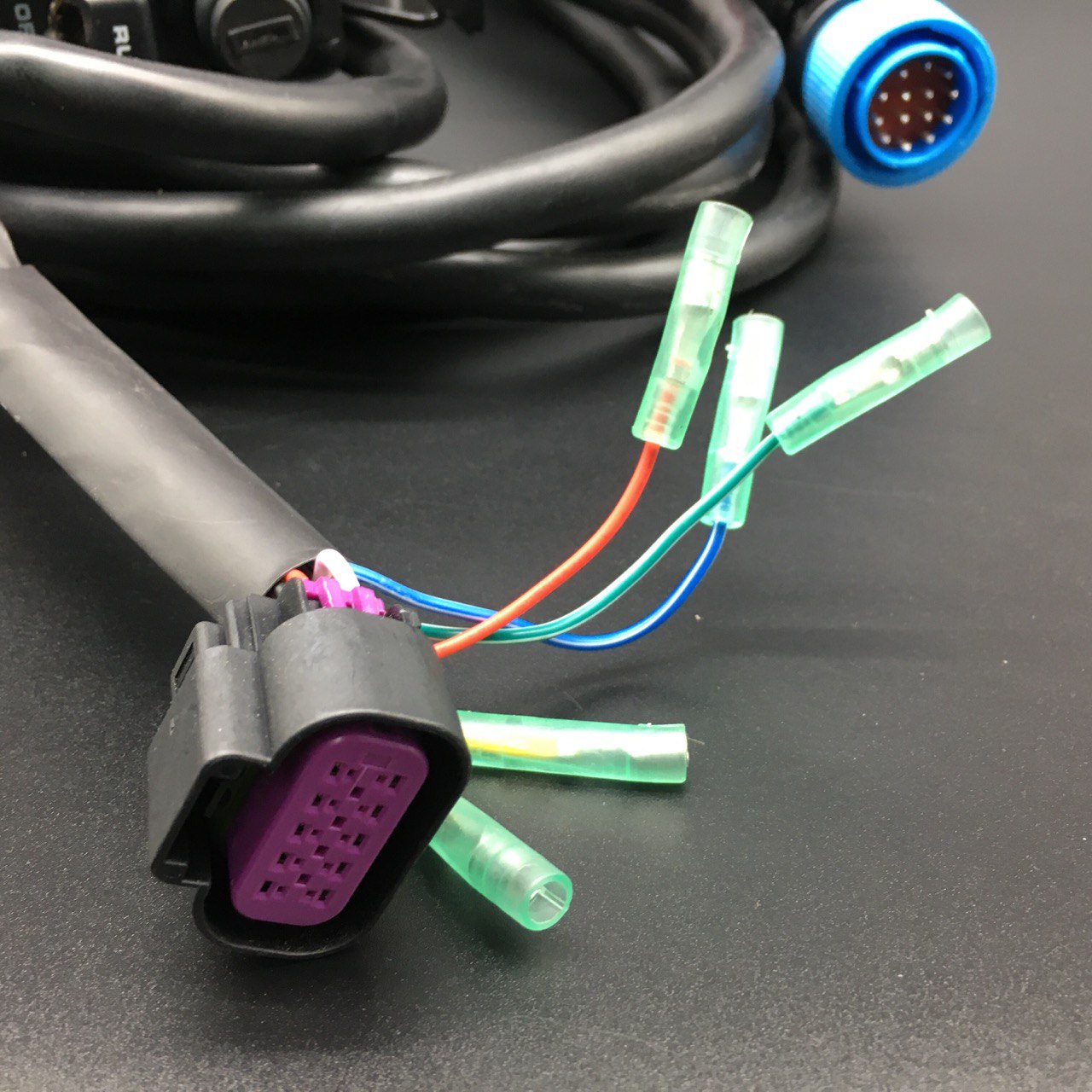 photo5249477851906946155