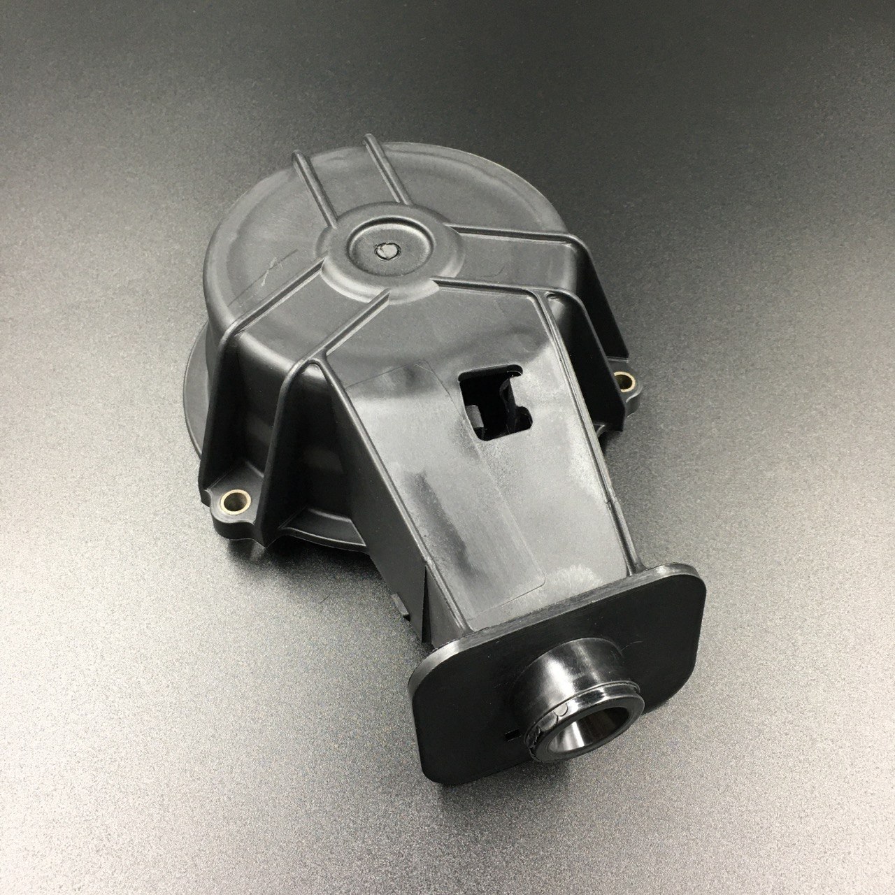 photo5453995613197806939