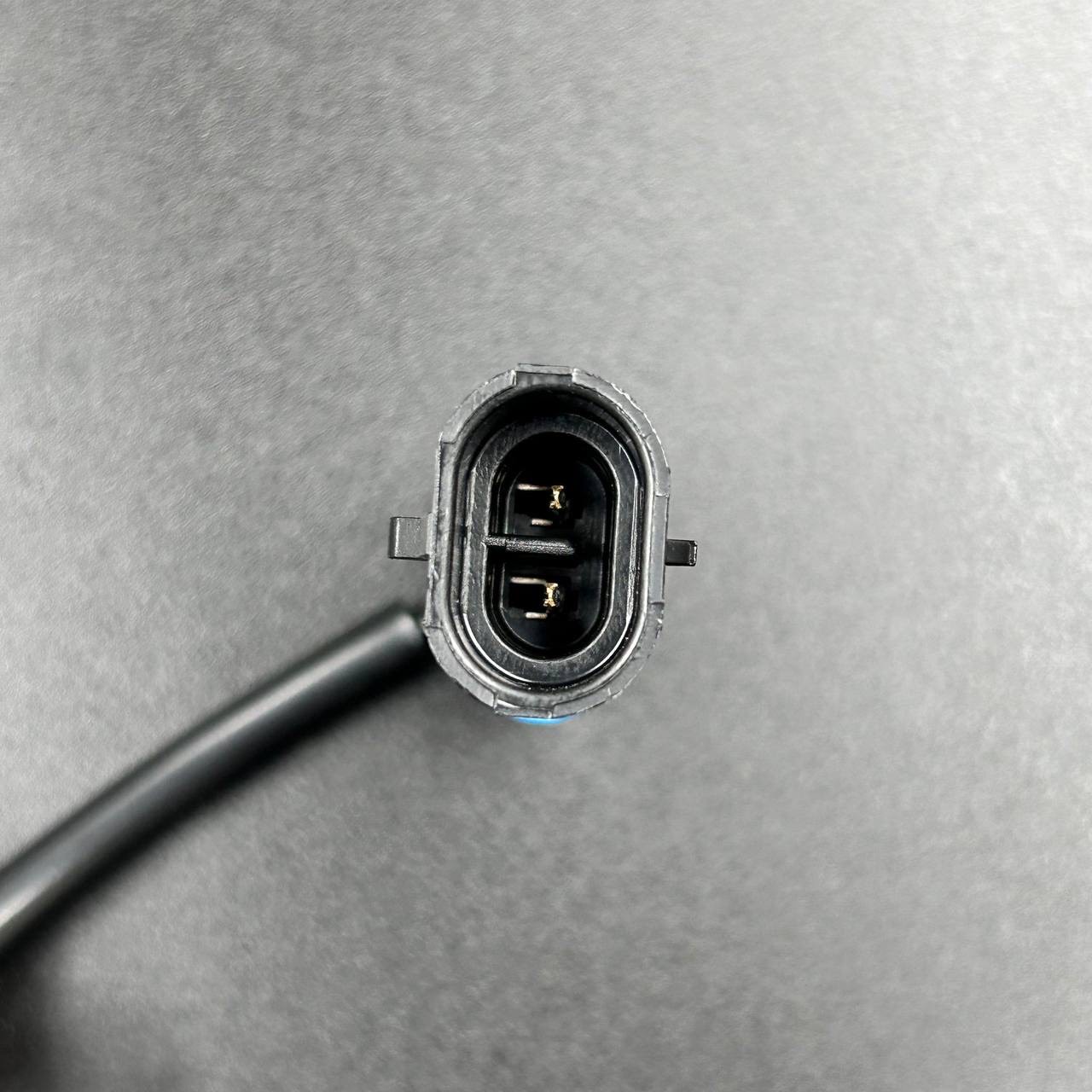 CF807FC0-B16B-44DE-A08D-35E828C13156