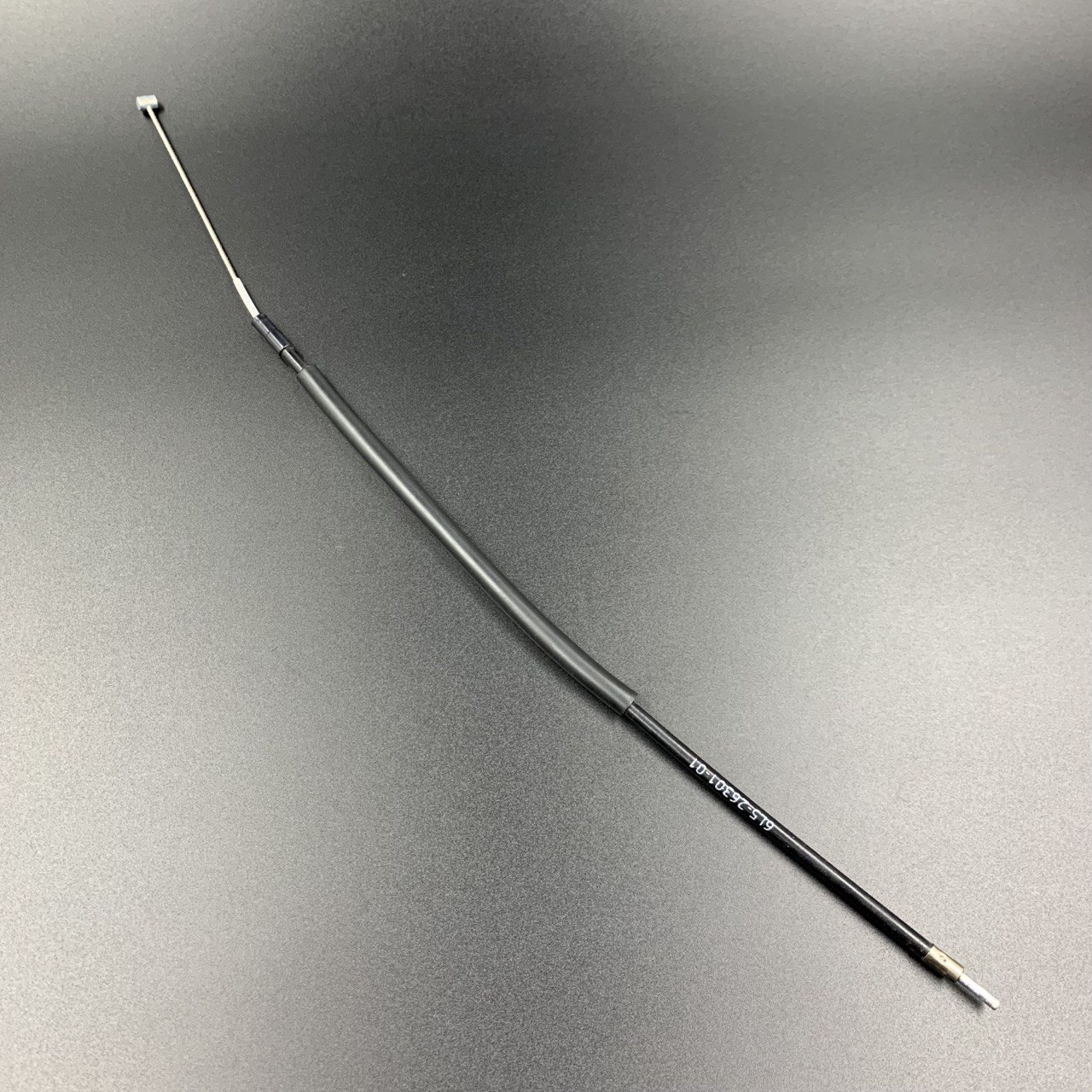 photo5201777867808159056