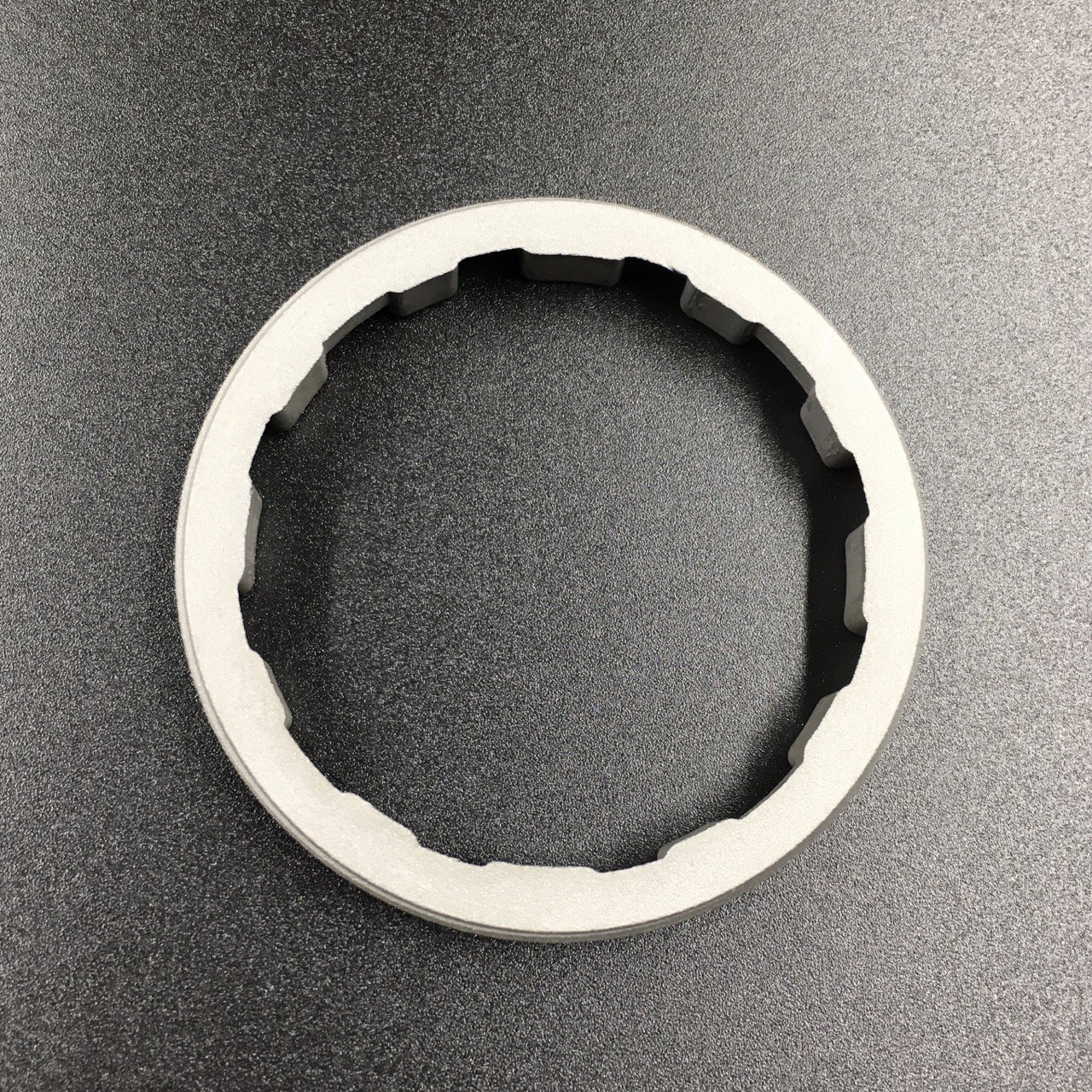 photo5244691557532152195