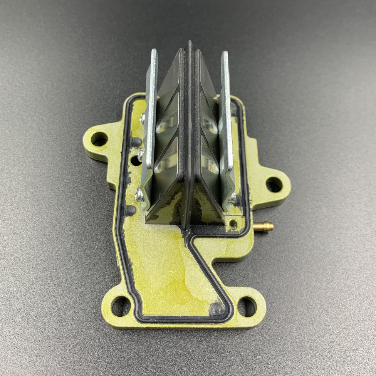 photo5440717451219284746