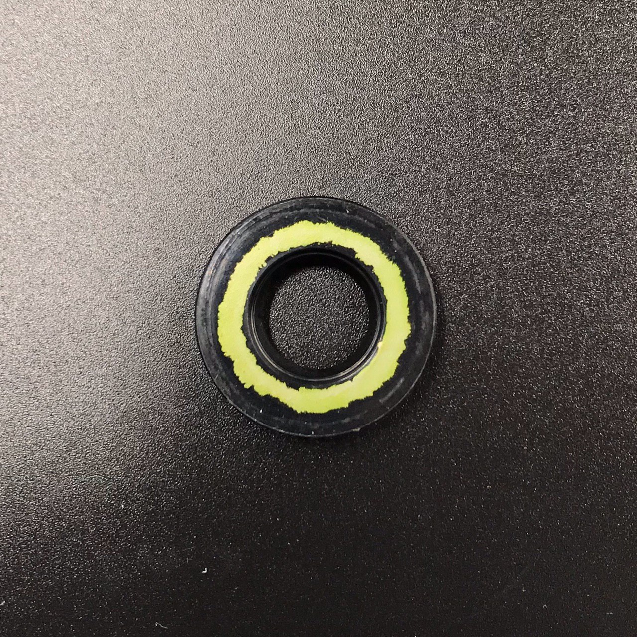 photo5316907339510558046