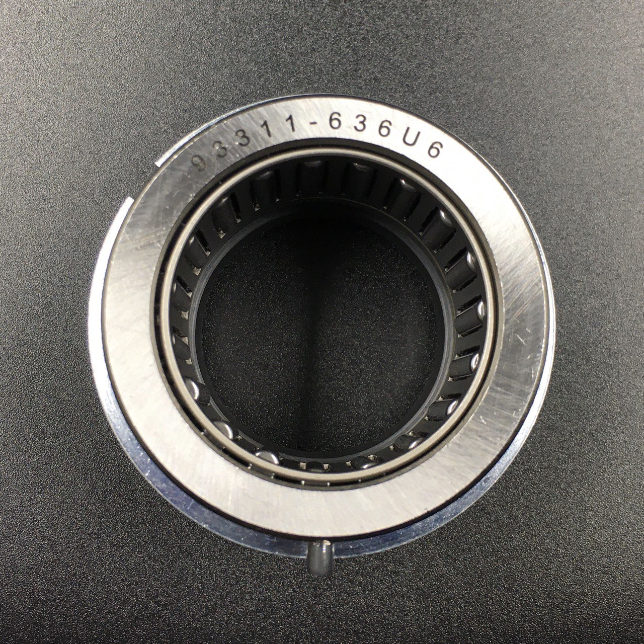 photo5206660025852997311