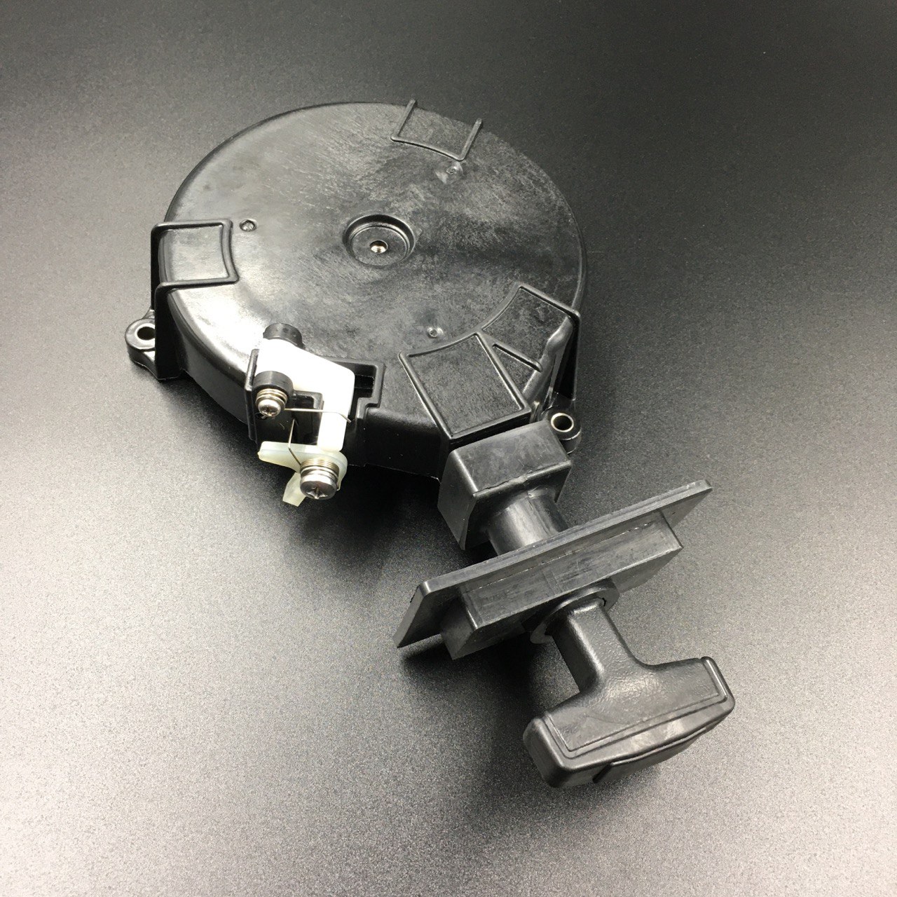 photo5453995613197806966