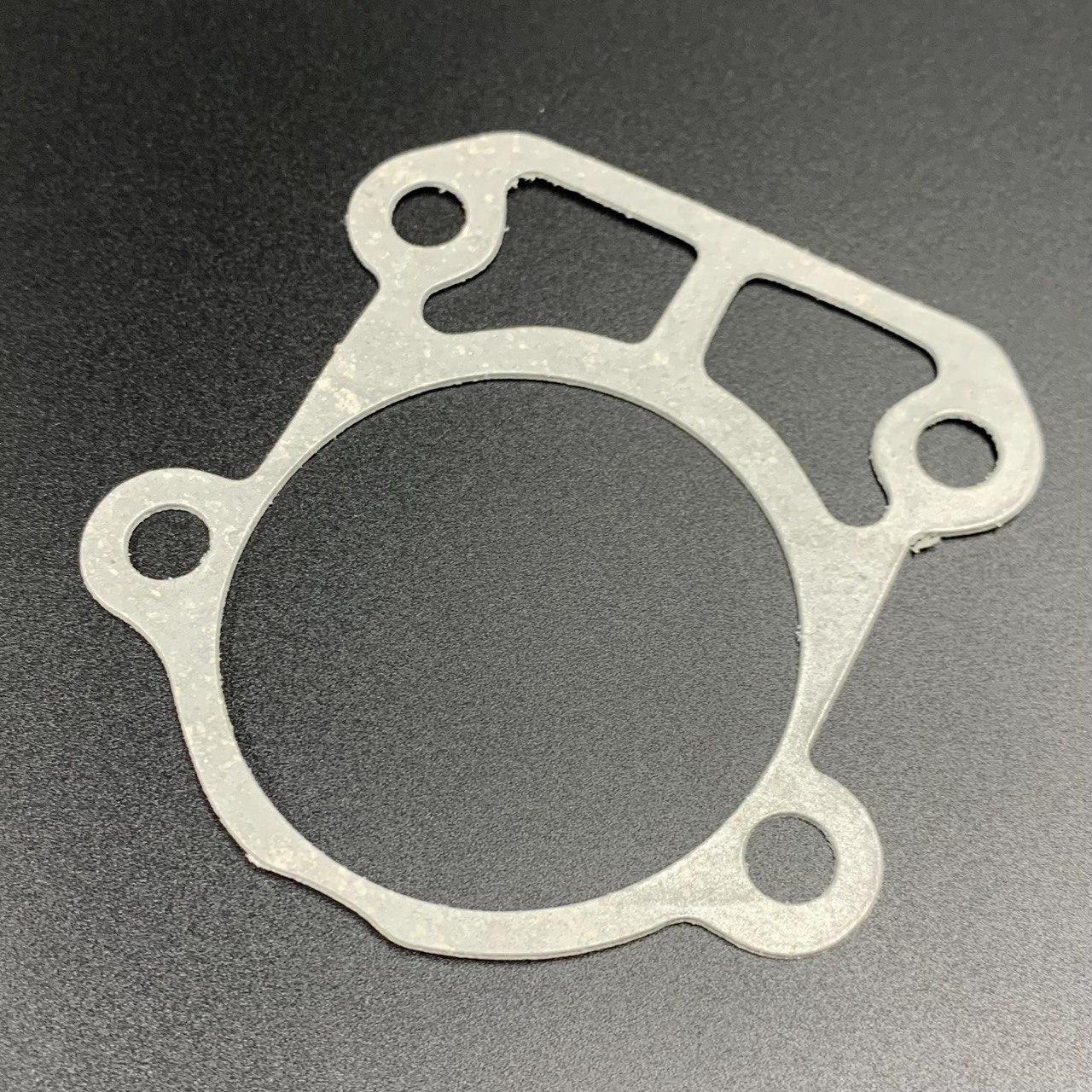 photo5438465651405599383