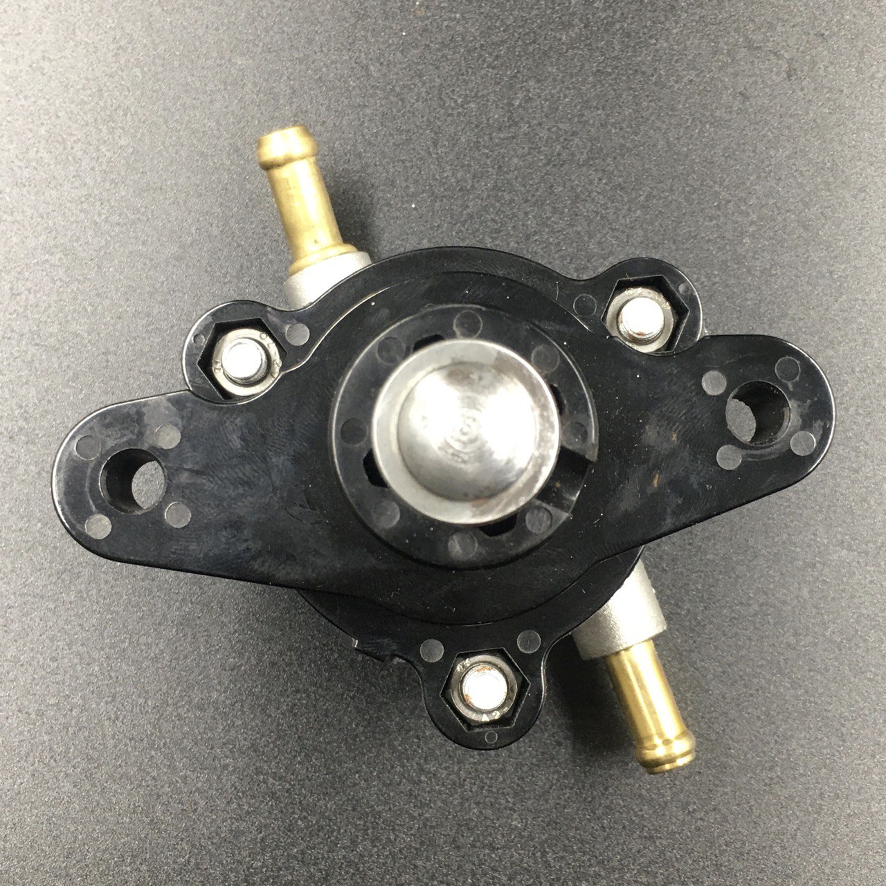 photo5393225395077230572